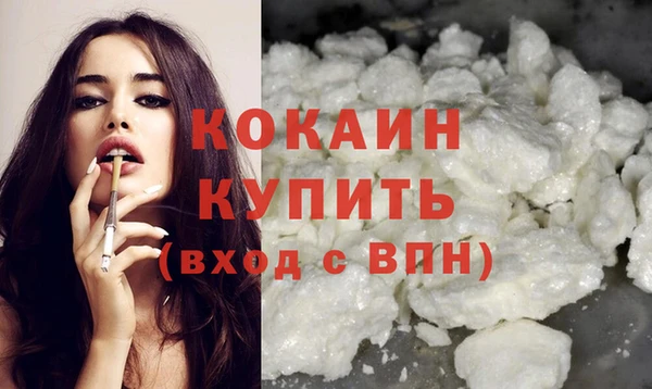 крисы Пенза