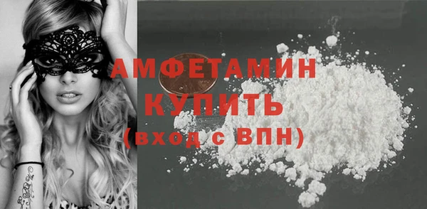 крисы Пенза
