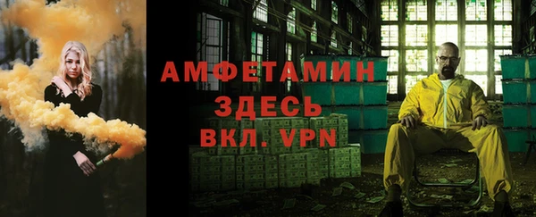 крисы Пенза