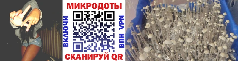 Псилоцибиновые грибы мицелий  Емва 